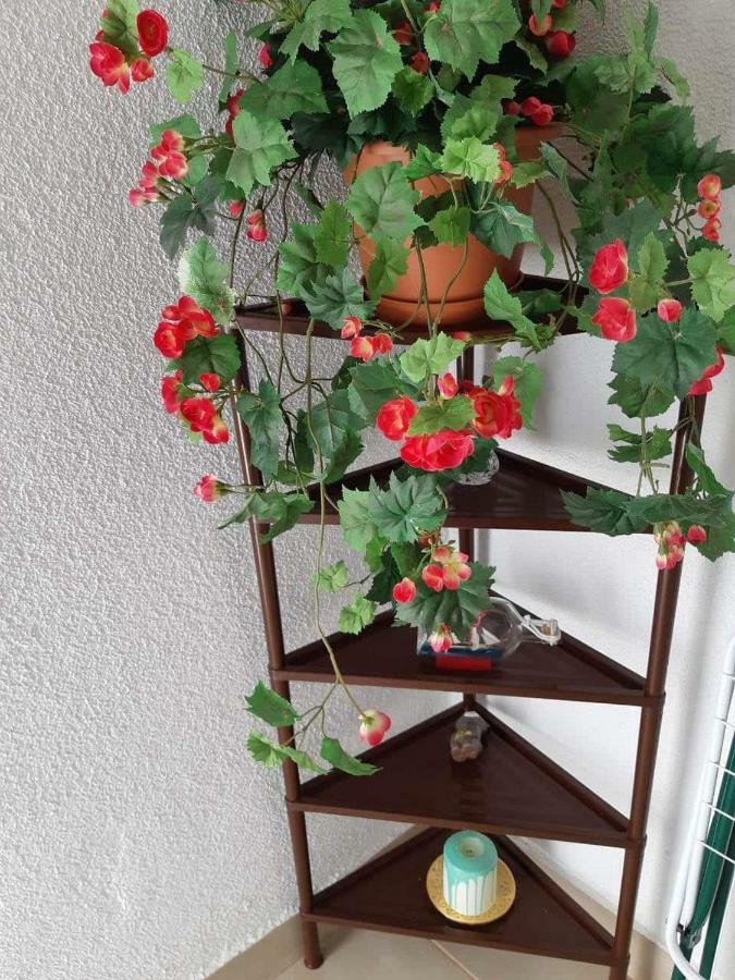 סנג' Apartment Duba מראה חיצוני תמונה